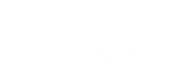 Bleach logo